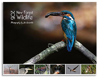 wildlife calendar joe constable