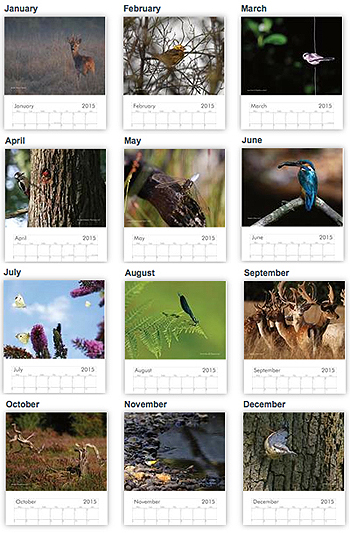 calendar new forest