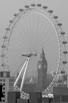 An Eye on Parliament.  Image © joe constable @ unique-photography.co.uk