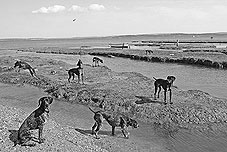 solent photograph